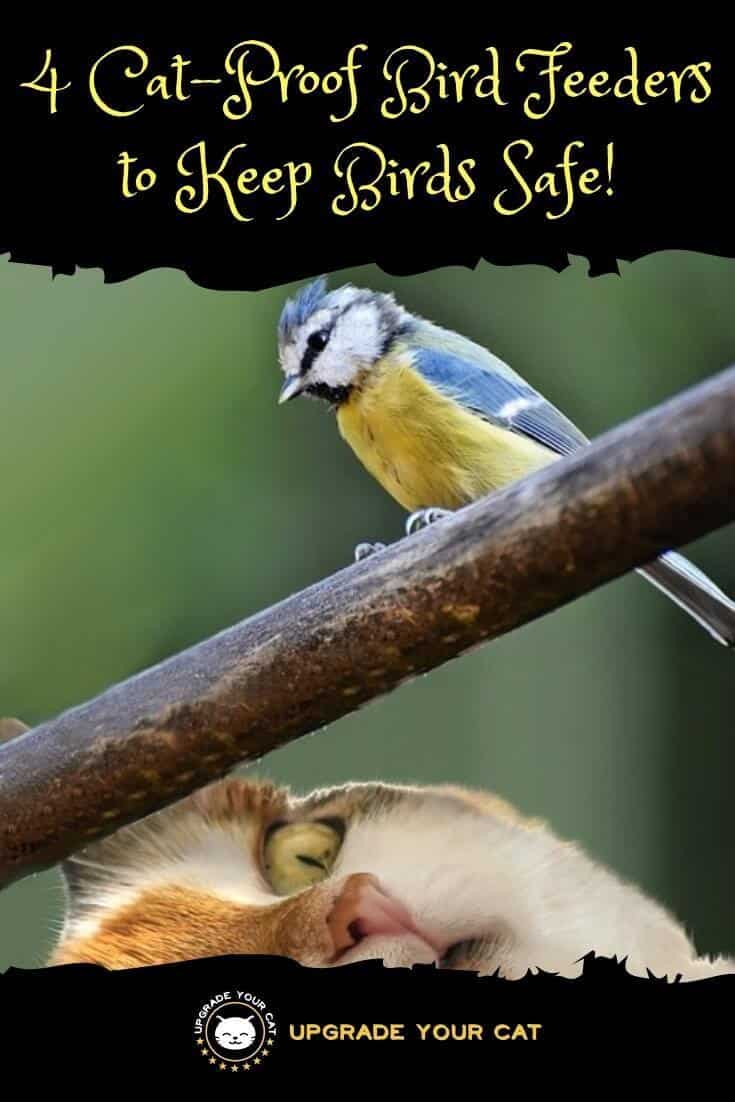 Cat Proof Bird Feeder