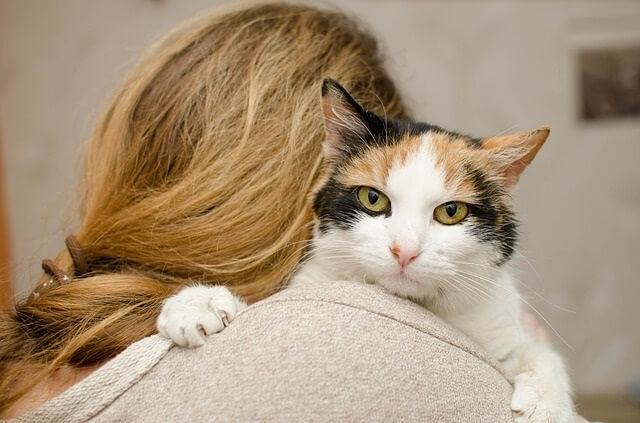 How to Stop Your Cat Sleeping in Your Doorways