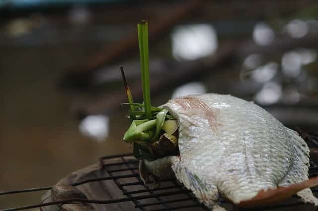 What Is Tilapia - How Healthy Is This Fish