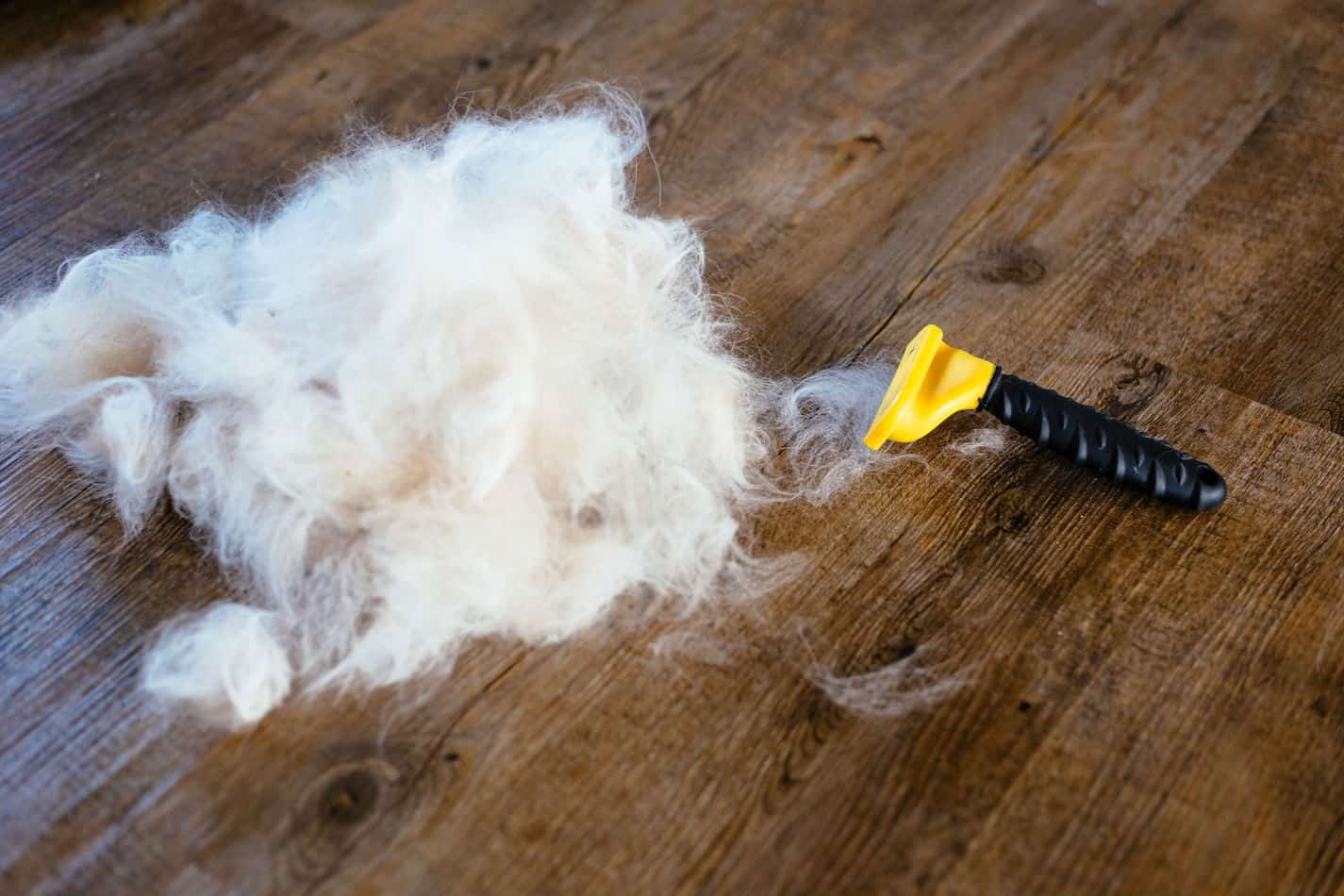 best cat brush for mats