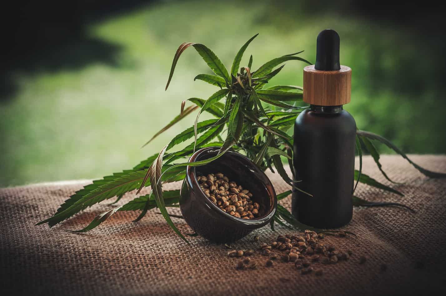 best hemp seed oil for cats