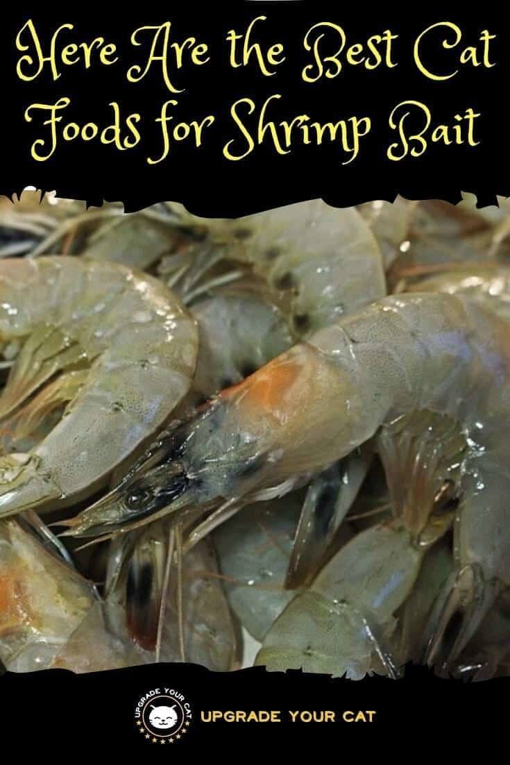 Best Cat Food for Shrimp Bait