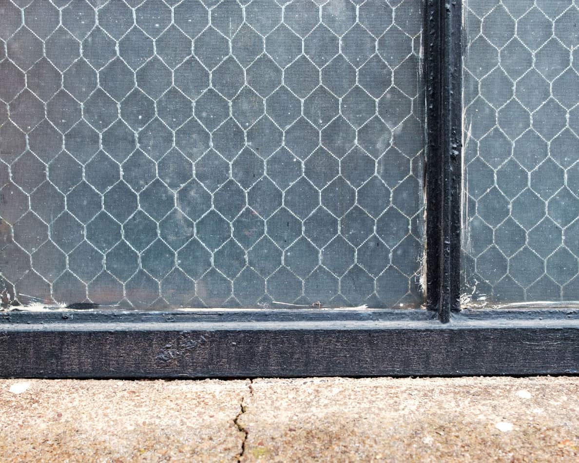 can cats climb chicken wire