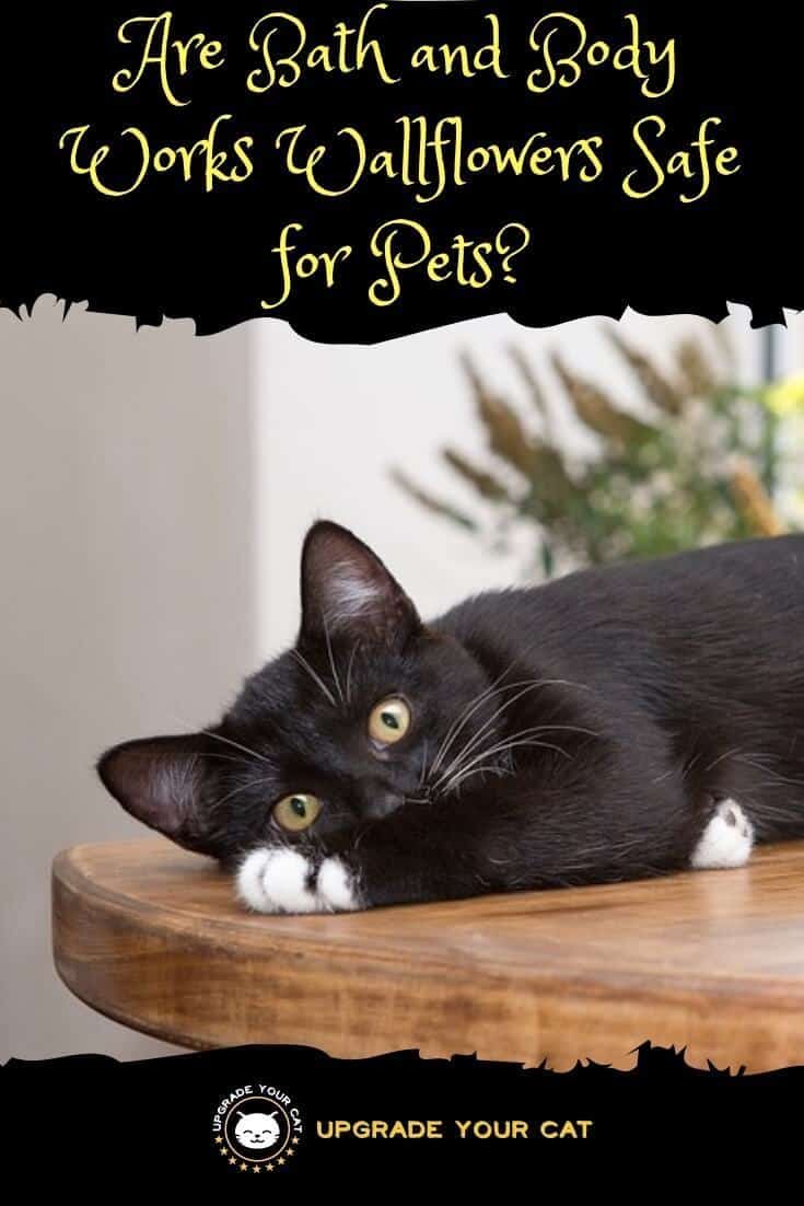 Are Bath and Body Works Wallflowers Safe for Pets