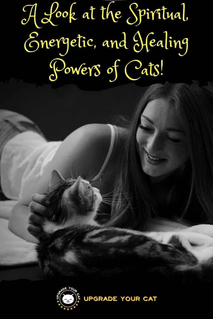 The Power of Cats Spiritual, Energetic, and Healing