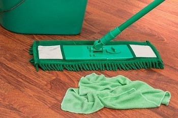 Is Bleach Harmful to Cats
