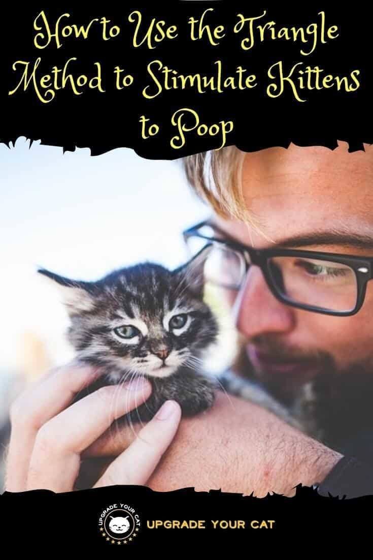 Triangle Method Kitten Poop
