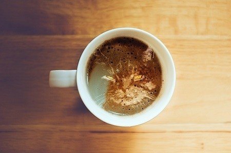 coffee inspired names for cats