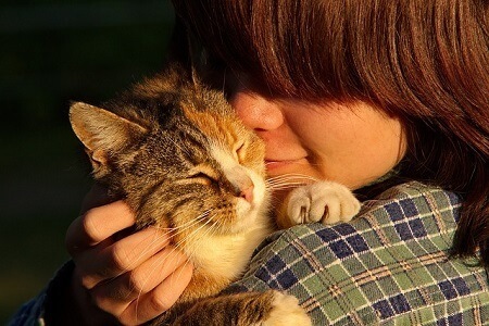 Cats sleep on us to show they love us