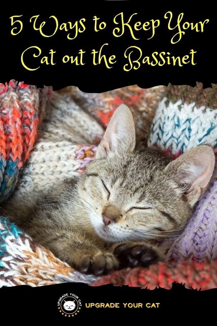 How to Keep Cat out of Bassinet