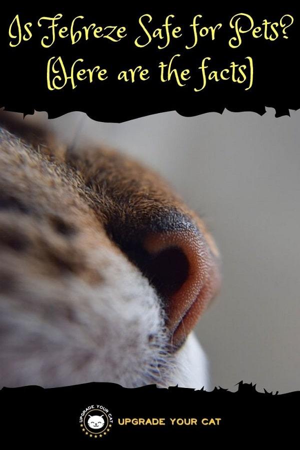 Is Febreze safe for pets