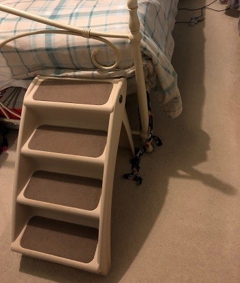 Steps for elderly cats to get on the bed