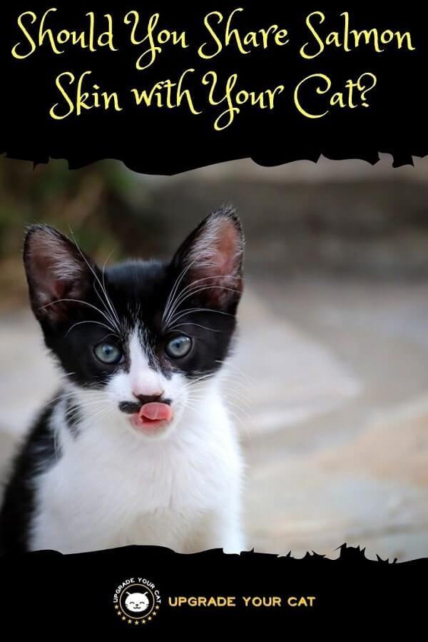 Can Cats Eat Salmon Skin