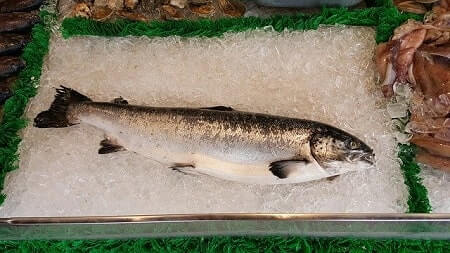 Things to Be Aware of When Feeding Cats Salmon Skin