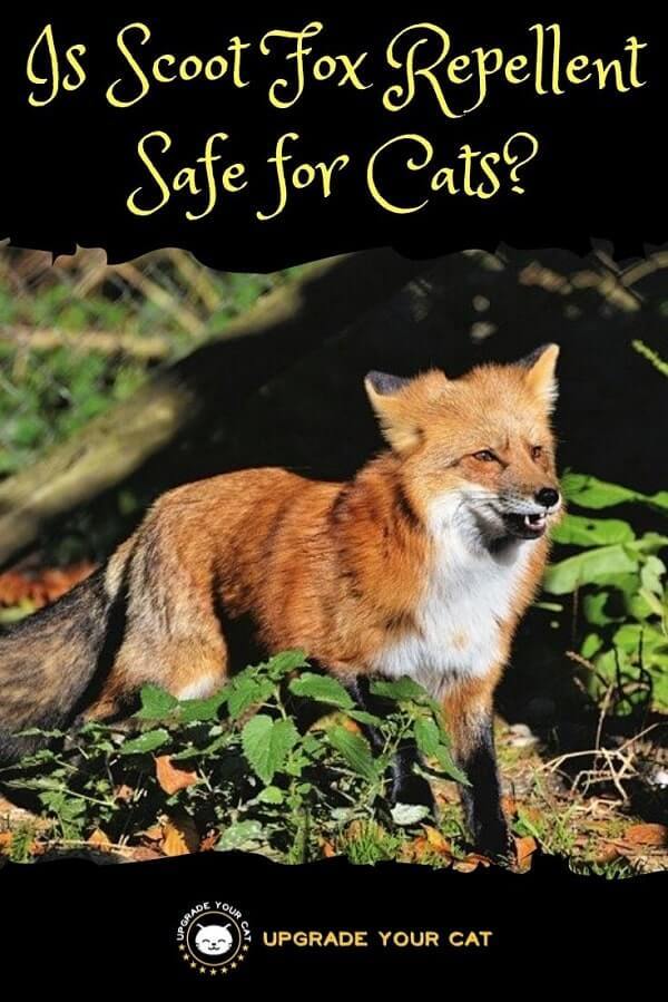 Is Scoot Fox Repellent Safe for Cats