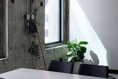What Are Fiddle Leaf Figs