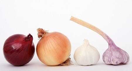 What Foods Are Dangerous to Cats Onions and Garlic