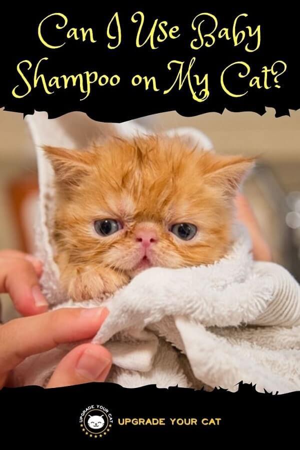 Can I Use Baby Shampoo on My Cat