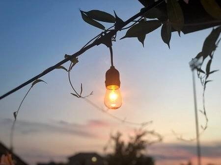Do Cats Need Night Lights to See at Night
