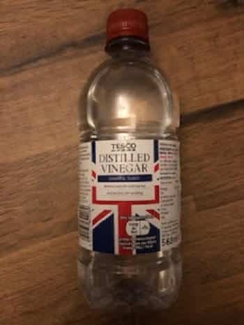 Do Cats Really Hate the Smell of Vinegar