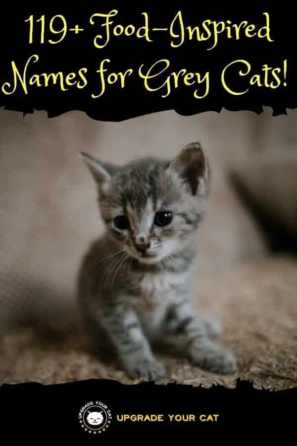 Food Names for Grey Cats