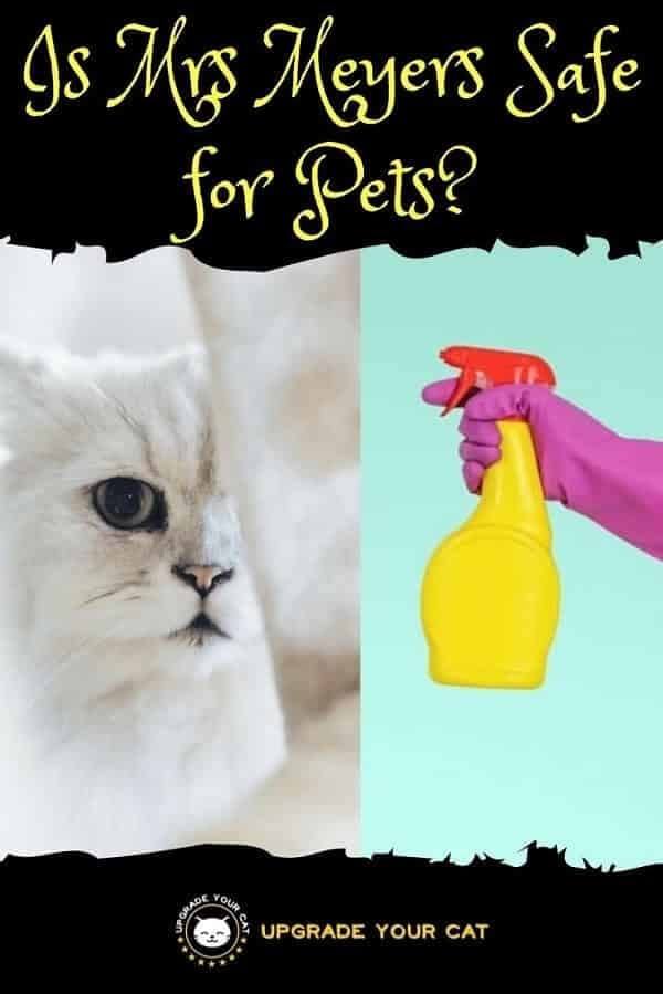 Is Mrs Meyers Safe for Pets