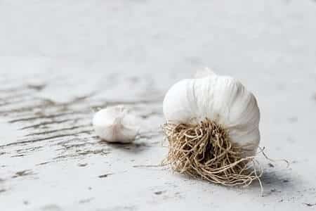 Some Human Foods That Are Bad or Toxic to Cats