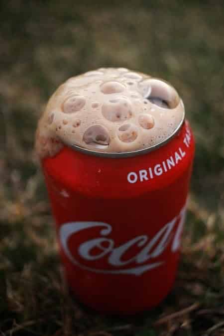What Happens If a Cat Drinks Soda
