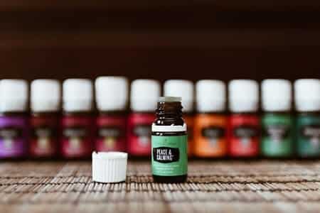 What Other Scents Work as a Cat Repellent