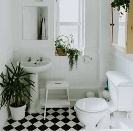 Which Rooms Are the Best for a Litter Box