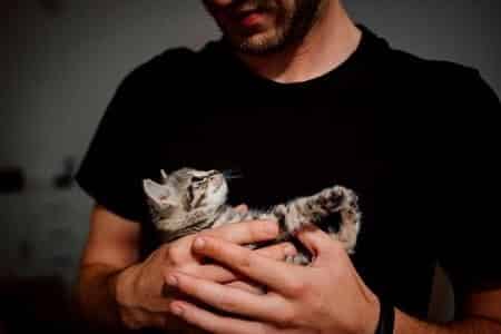 What Do Cats Miss About Their Previous Home and Owner
