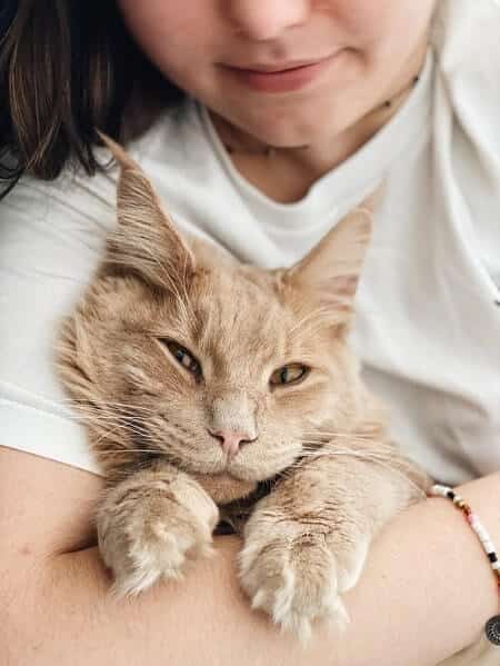 Why It's Normal to Feel Guilty About Rehoming a Cat