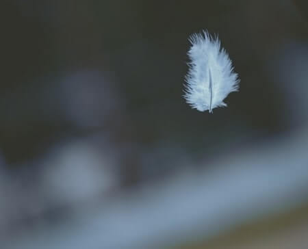 Can Cats Digest Feathers