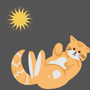 How hot is too Hot for cats