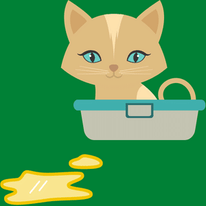 cat peeing