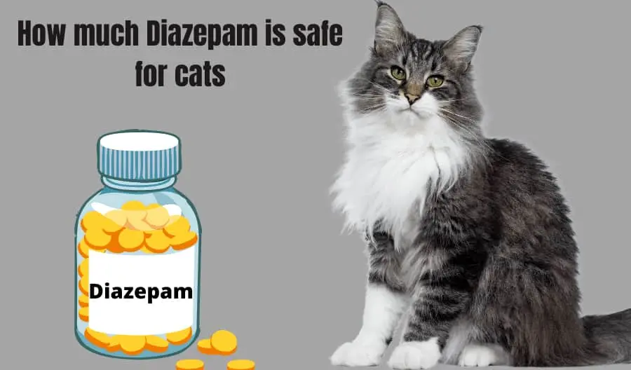 How much Diazepam is safe for cats