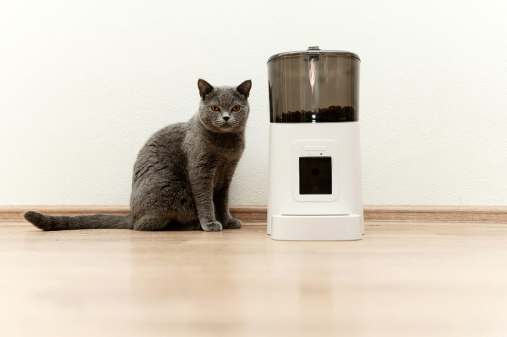 Cat waiting by an automatic cat feeder