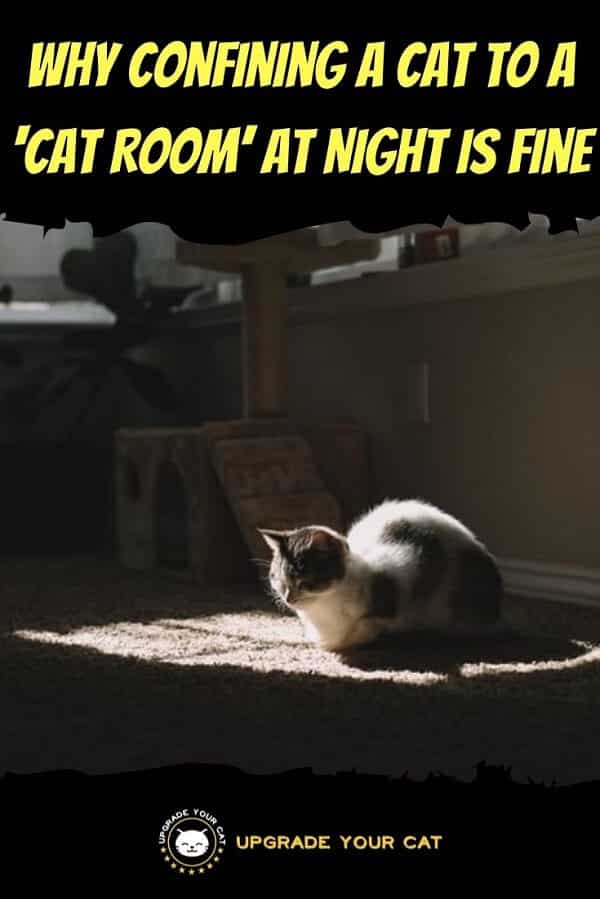 Confining a Cat to A Room at Night