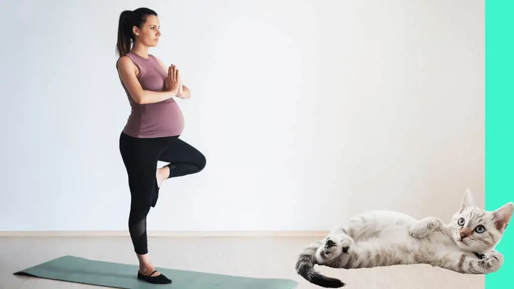 cat wit exercising pregnant lady
