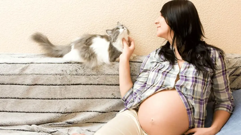 cat with pregnant woman
