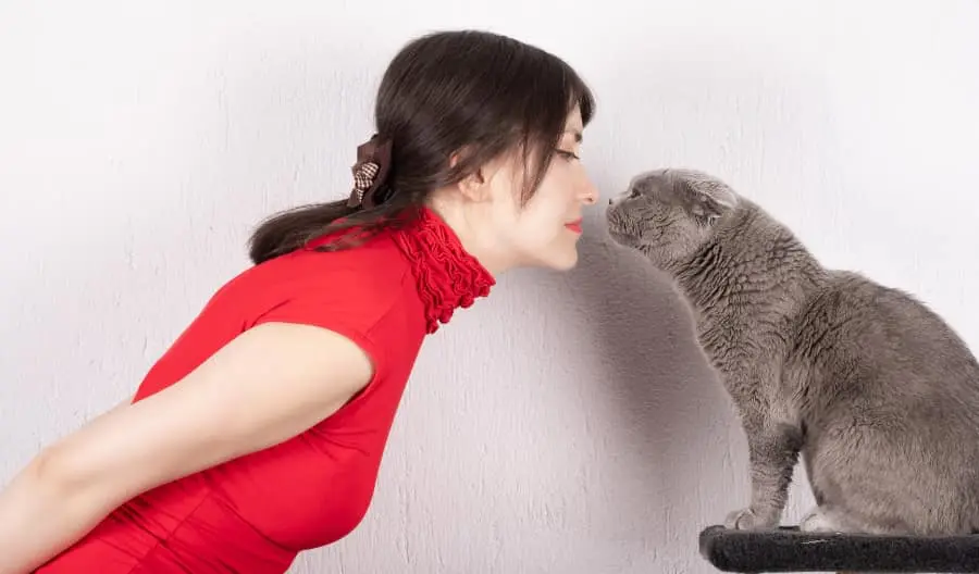 Why do cats smell your Breath
