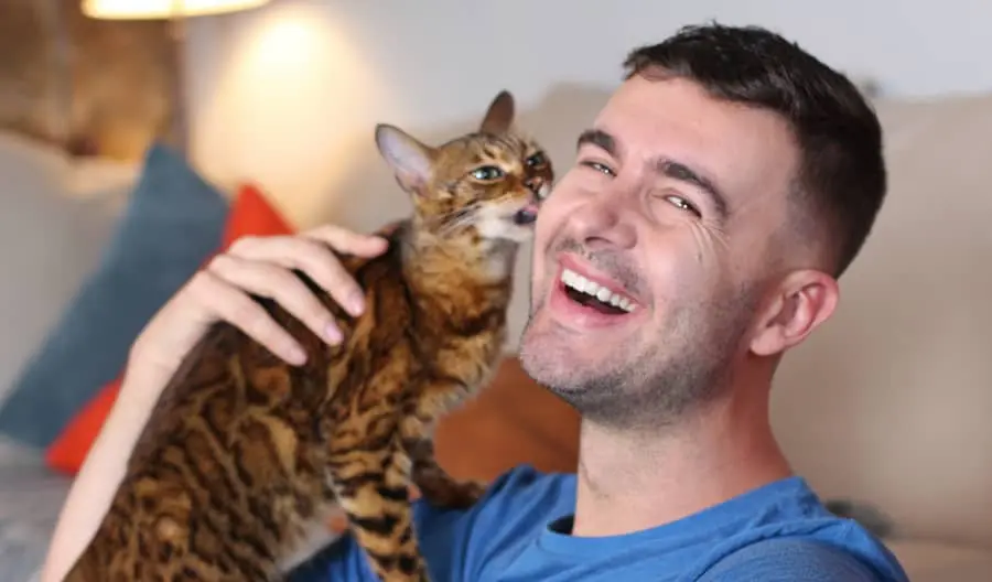 cat smell owner nose