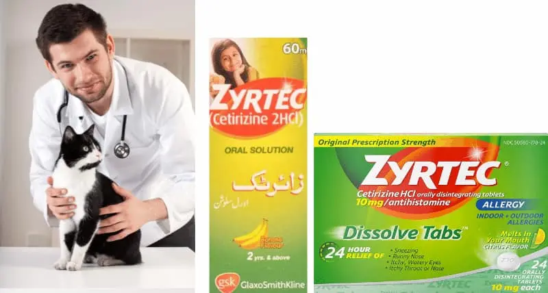 Zyrtec Dosage For Cats
