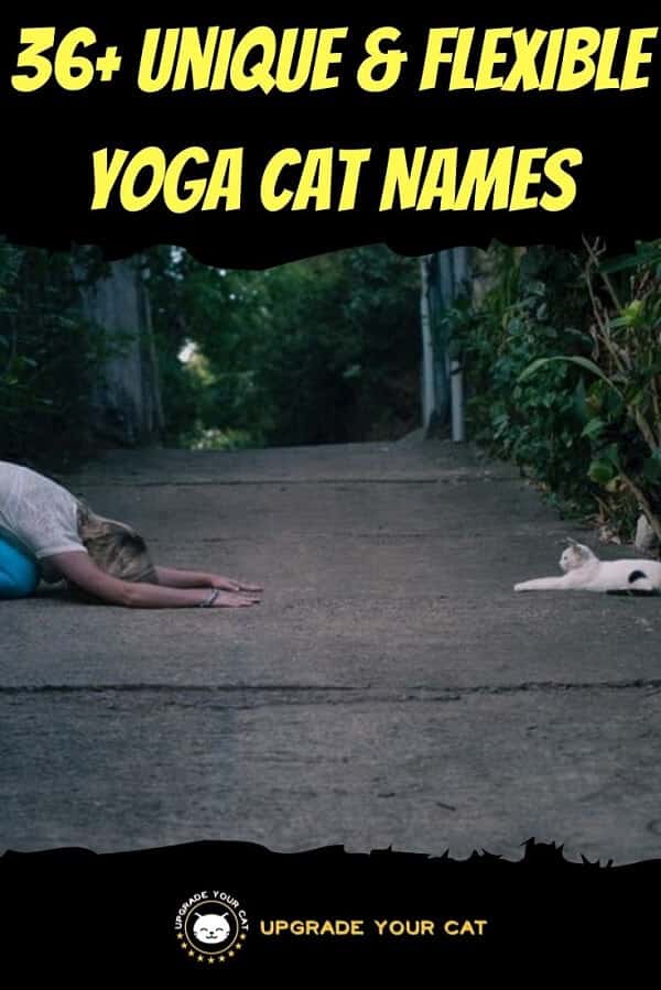Yoga Cat Names