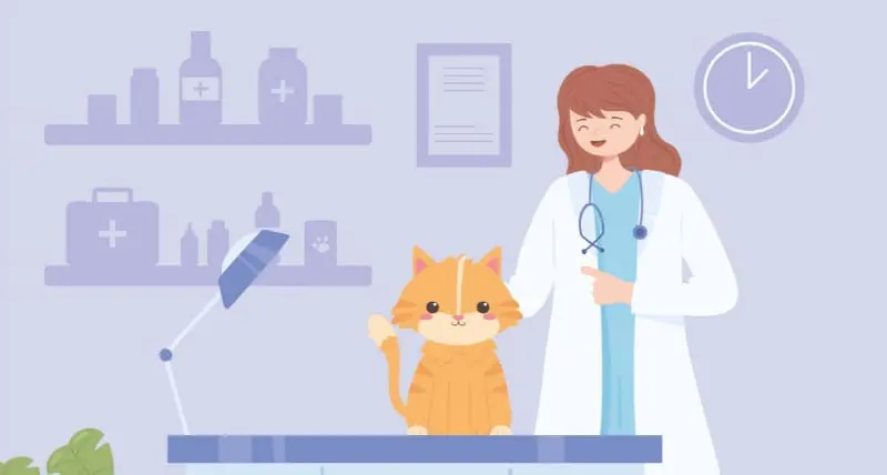 Diagnosing the heart murmur