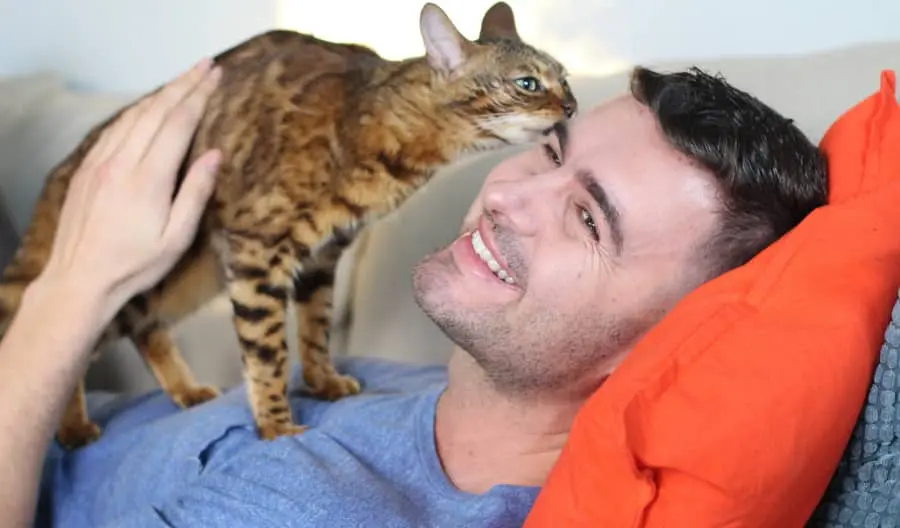cat sniffing owner face