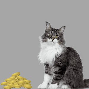 is hemp safe for cats