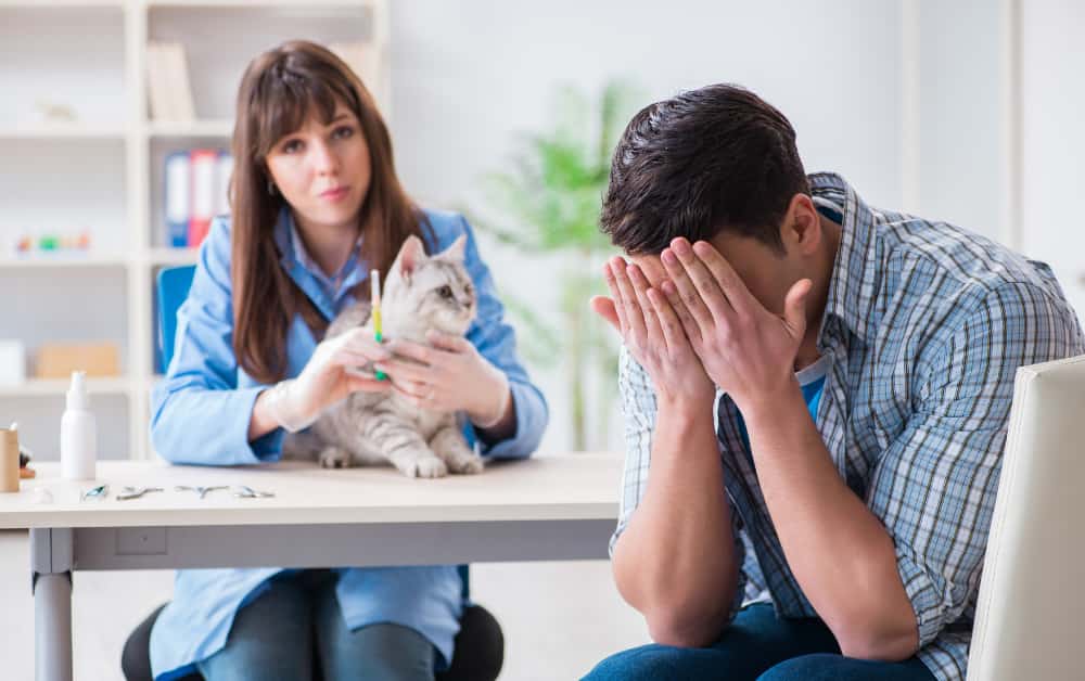 Do Cats Know when You are Sad