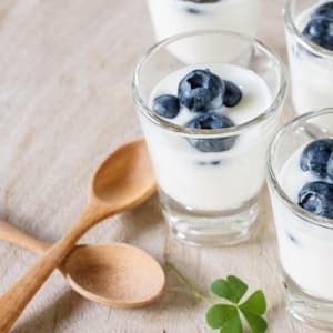 Can cats eat Blueberry Yogurt?