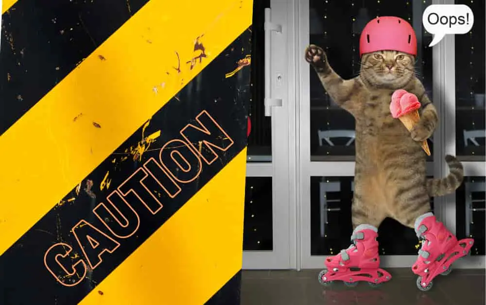 can cats have vanilla ice cream